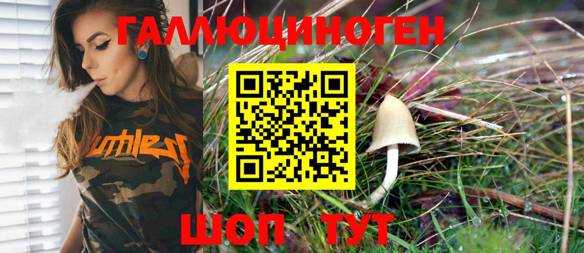 Галлюциногенные грибы GOLDEN TEACHER  Галлюциногенные грибы GOLDEN TEACHER  Гай 