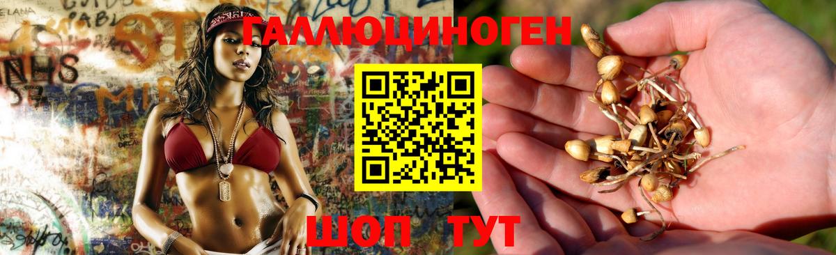 Галлюциногенные грибы мицелий  Вход с VPN  Гай  Псилоцибиновые грибы Psilocybe 