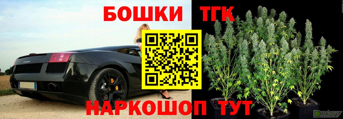 Шишки марихуана план Гай